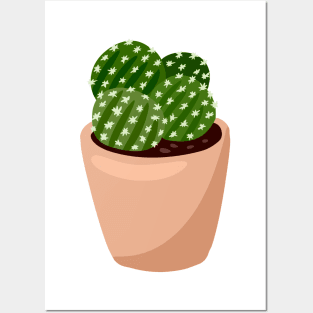 Cute Cactus Posters and Art